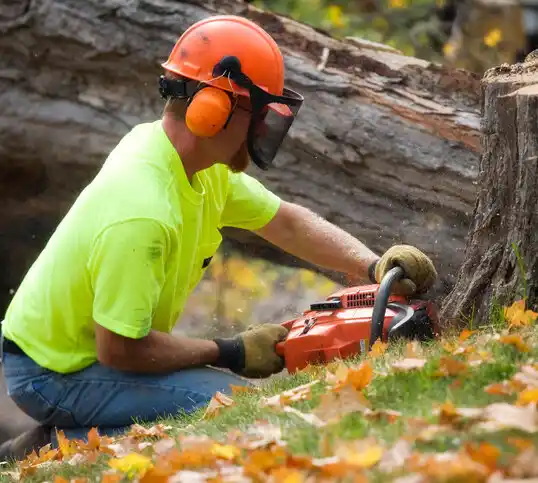 tree services Sandy Valley